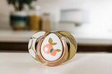 2 Fashion Pacifiers 6-18 Months Girl - toylibrary.lk