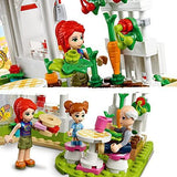 41444 Friends Heartlake City Organic Café Educational - toylibrary.lk