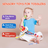 Montessori Toys for 1 Year Old - toylibrary.lk