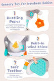 Pram Toys for Baby - toylibrary.lk