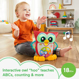 Linkimals Light-Up & Learn Owl - toylibrary.lk