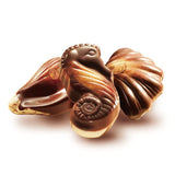GuyLian Artisan Belgian Chocolate Sea Shells Box - toylibrary.lk