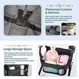 Hadwin Pram 2-in-1 Travel System, Foldable Baby Pushchair with Rain Cover. - toylibrary.lk