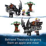 Harry Potter Hogwarts Carriage & Thestrals Set, Building Toy for Kids - toylibrary.lk