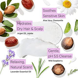Hydrating Sulfate Free Shampoo and Conditioner Set for Dry Hair - toylibrary.lk