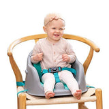 Infantino Music & Lights 3 in 1 Discovery Seat & Booster - toylibrary.lk