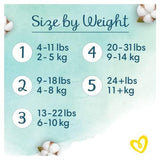 Pampers Baby Nappies Size 2 (4-8 kg / 9-18 lbs) - toylibrary.lk