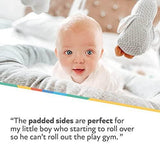 Penguin Baby Play Mat - toylibrary.lk