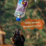 Premium Organic Baby Food - 6 Months+ Baby Food Pouches - toylibrary.lk
