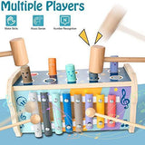 Wooden Hammering Pounding Toy - toylibrary.lk