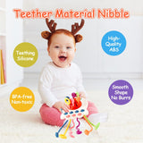 Montessori Toys for 1 Year Old - toylibrary.lk