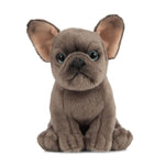 French Bulldog Puppy, Realistic Soft Cuddly Dog Toy - toylibrary.lk