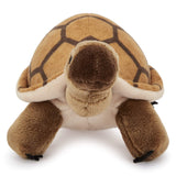 Childrens Soft Cuddly Plush Toy Great For New Born Child First - toylibrary.lk