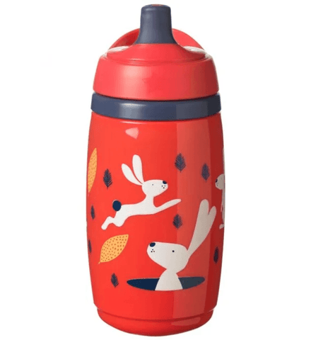 Superstar Sportee Insulated Water Bottle - toylibrary.lk