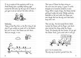 Diary of a Wimpy Kid (Book 1) - toylibrary.lk