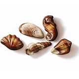 GuyLian Artisan Belgian Chocolate Sea Shells Box - toylibrary.lk
