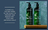 Tea Tree Shampoo and Conditioner Set - toylibrary.lk